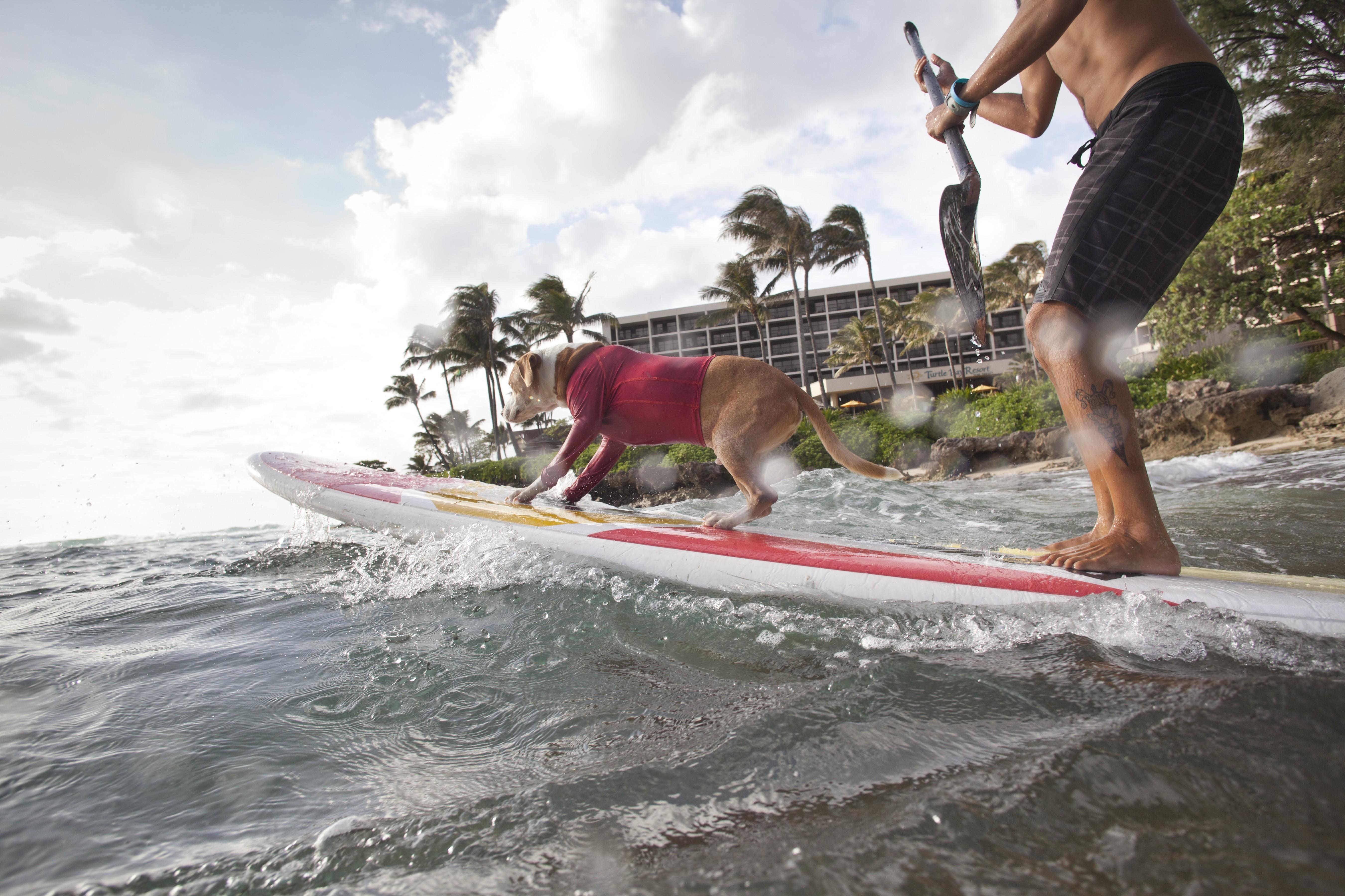 Turtle Bay Resort Kahuku Exteriér fotografie